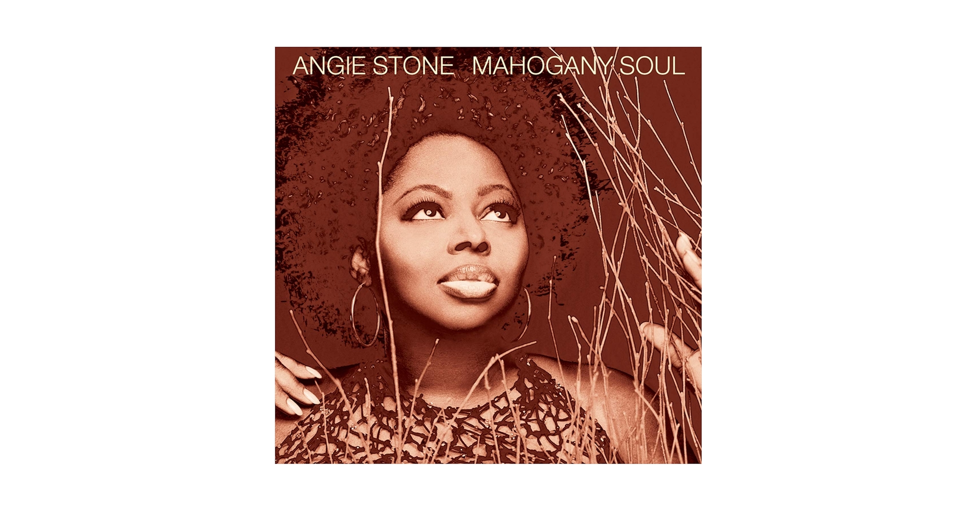オリジナル盤 Angie Stone Mahogany Soul レコード Angie Stone – Mahogany Soul – Cassette (Album), 2001