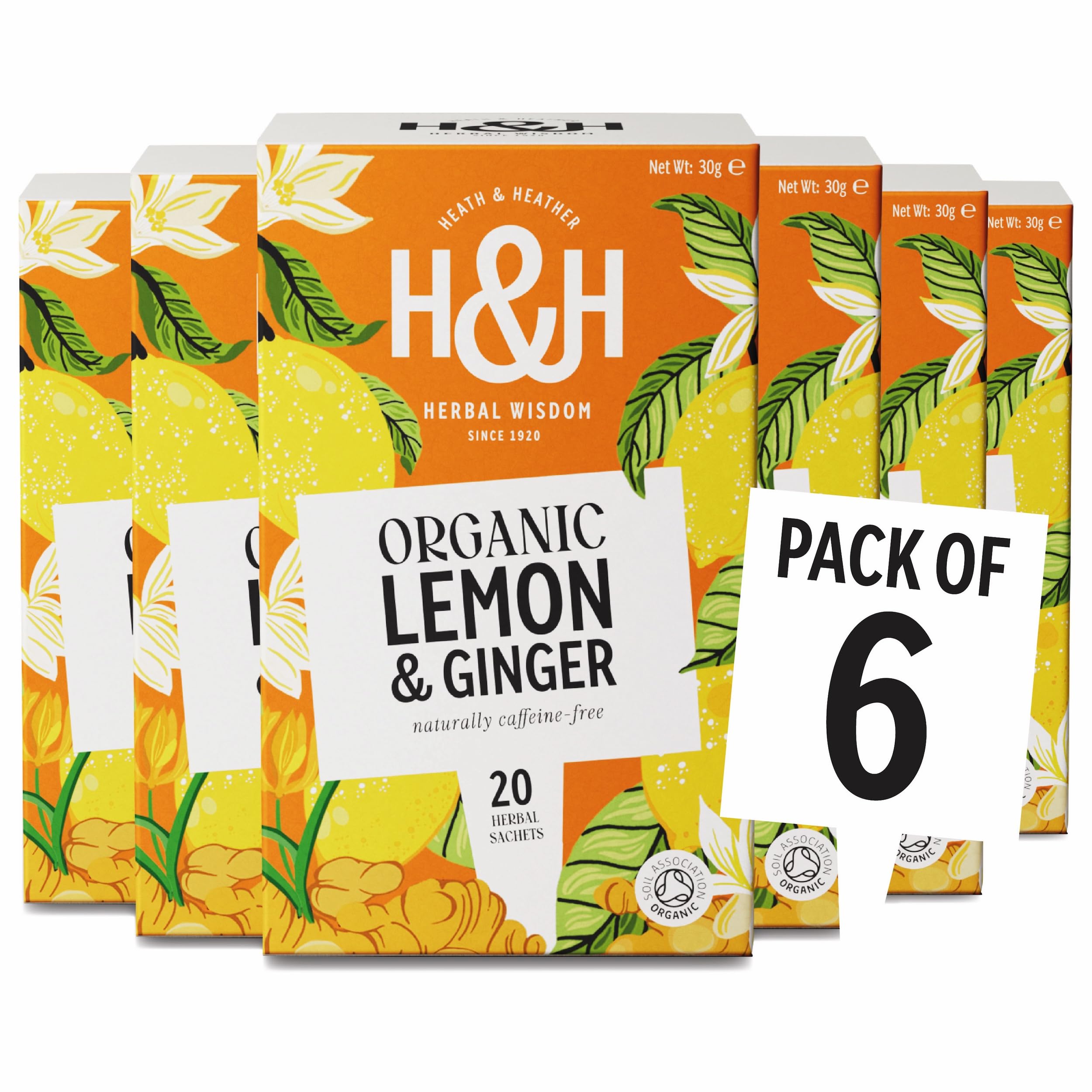 Heath & Heather Organic Lemon & Ginger 20 Tea Bags