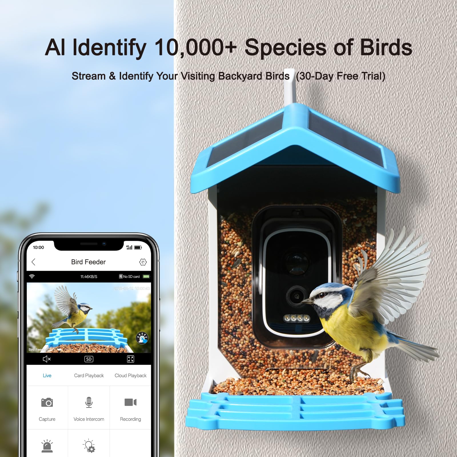Smart Bird Feeder with Camera - Solar Powered AI Identify - Dettaglio