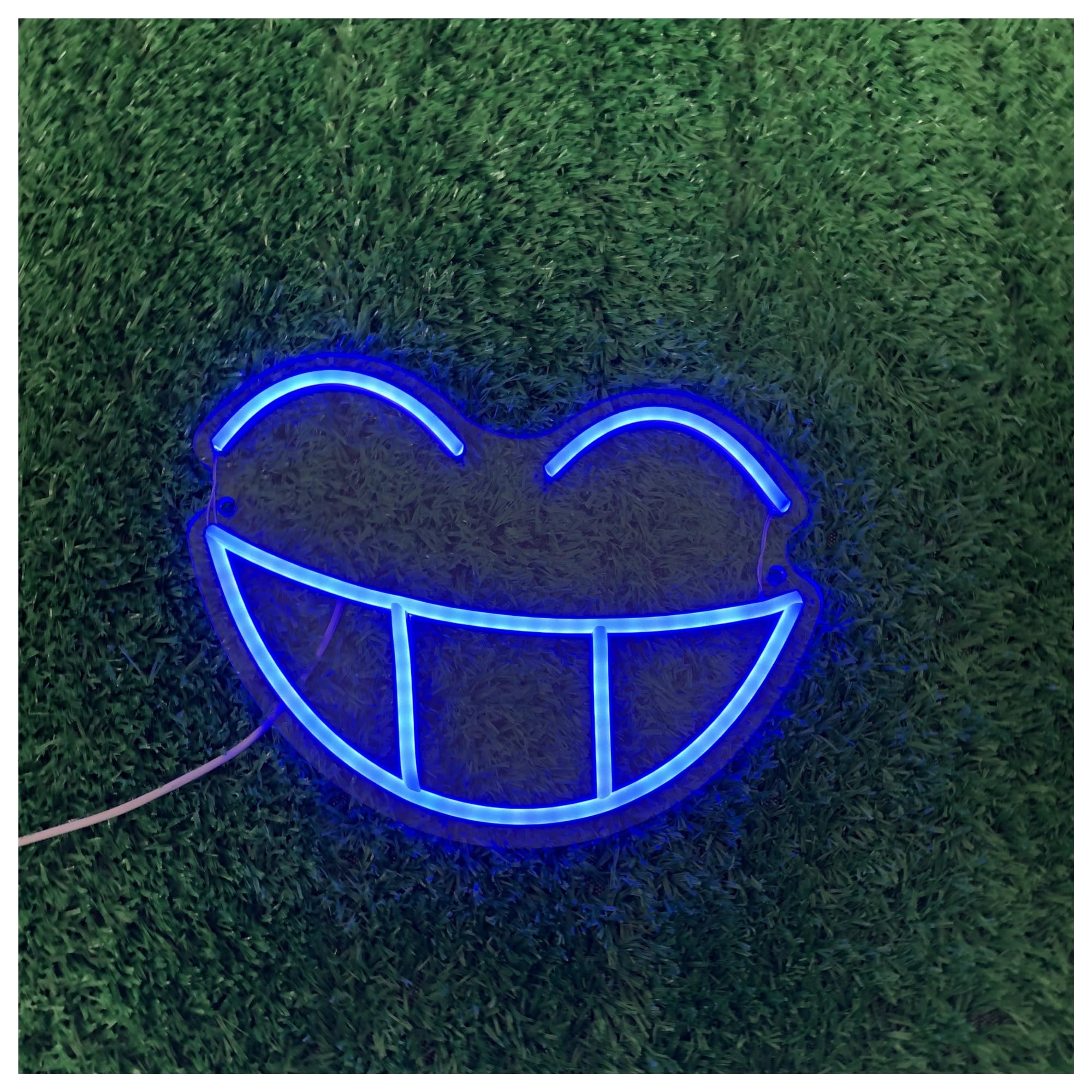 Hanging Art Neon Signs Smiley Face Neon Sign, Suitable For Kids Room Decor With Brightness Adjustable 11.81x8.74in/30x22.2cm(Blue)