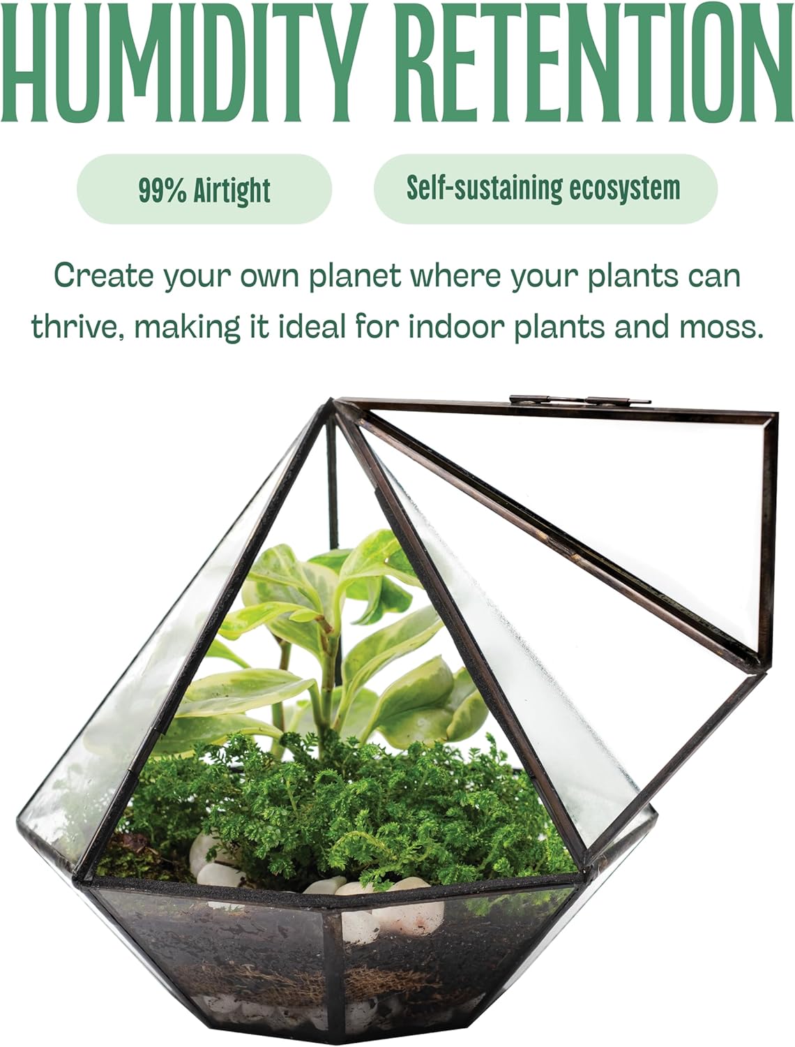 KraftStories Clear Glass Terrarium with Door | Diamond Design Container | Ideal Planter for Moss and Indoor Plants | Maintains Humidity | Self-Sustaining Indoor Garden Ecosystem (Terrarium Only)