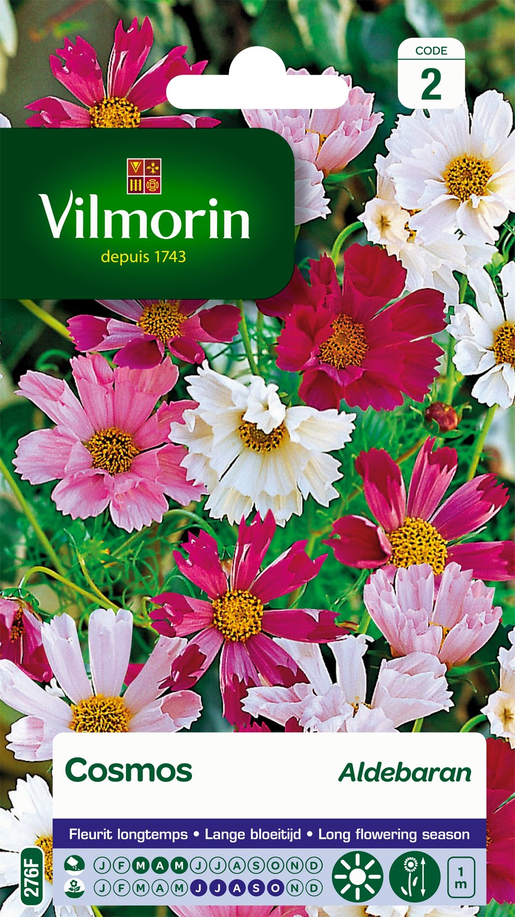 Cosmos Aldebaran Vilmorin fleurs faciles pour masquer une clôture
