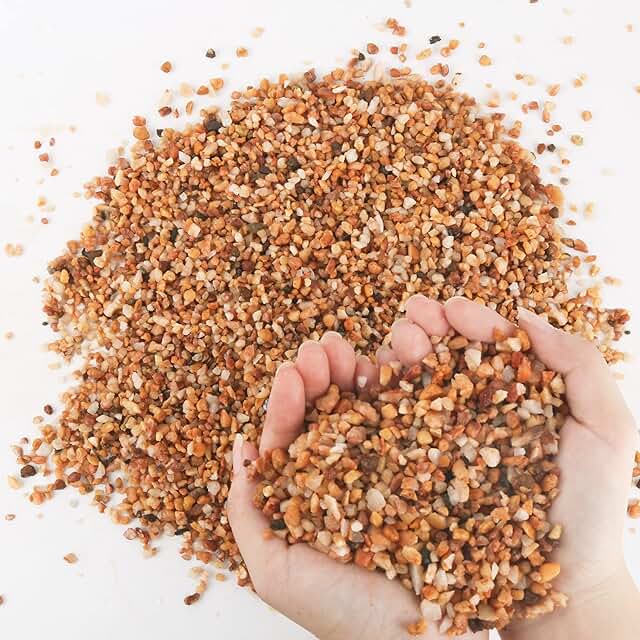 7lb Cactus Pea Gravel Rocks,1/5 Inch Pebbles for Indoor Plants, Natural ...