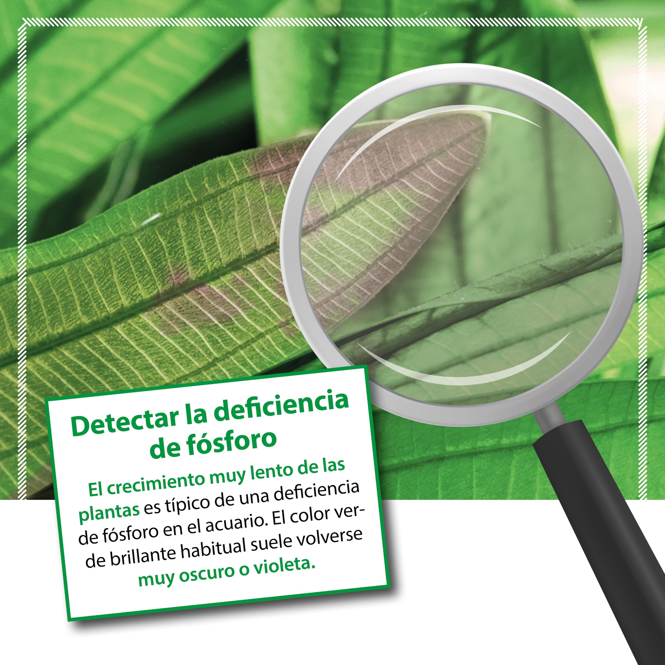 ARKA Plants P - 118 ml - Abono fosfatado Altamente eficaz para un Crecimiento exuberante de Las Plantas en acuarios de Agua Dulce, sin nitratos, Ideal para el aquascaping.