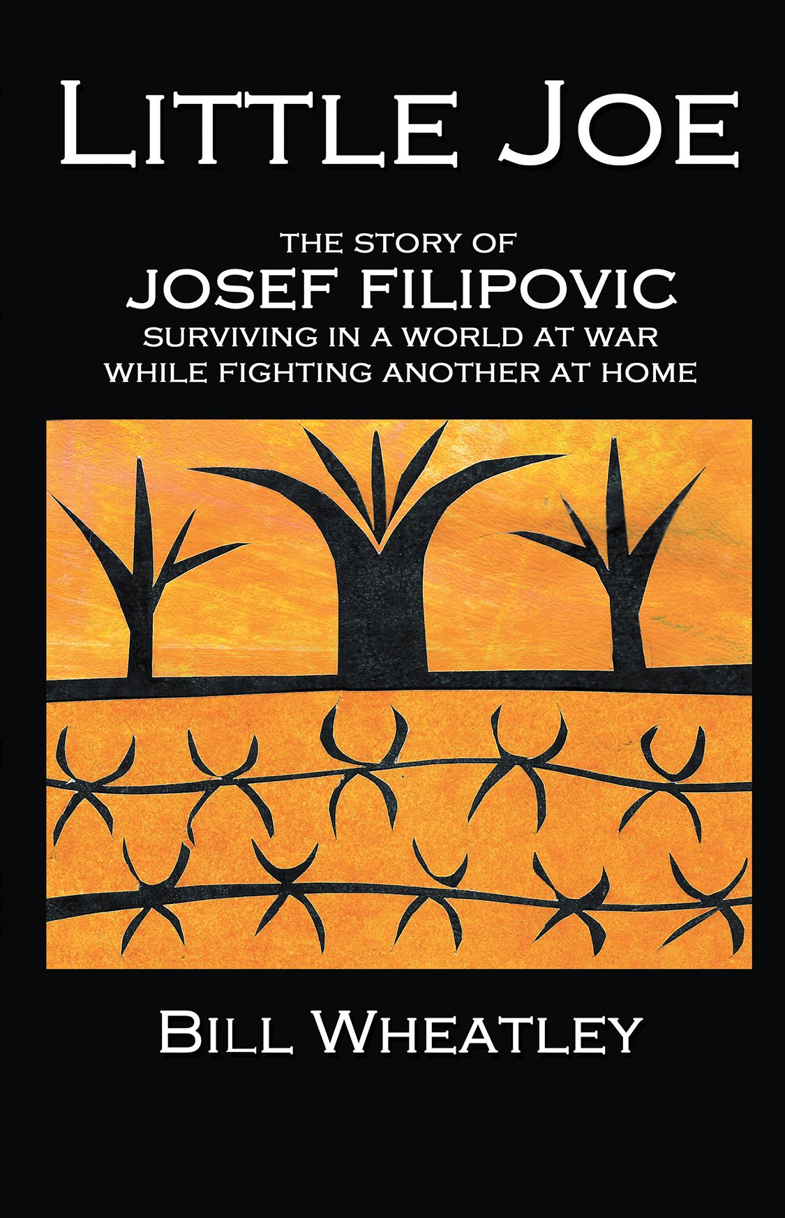 Little Joe: The Story of Josef Filipovic Surviving in a World at War while Fighting Another at Home