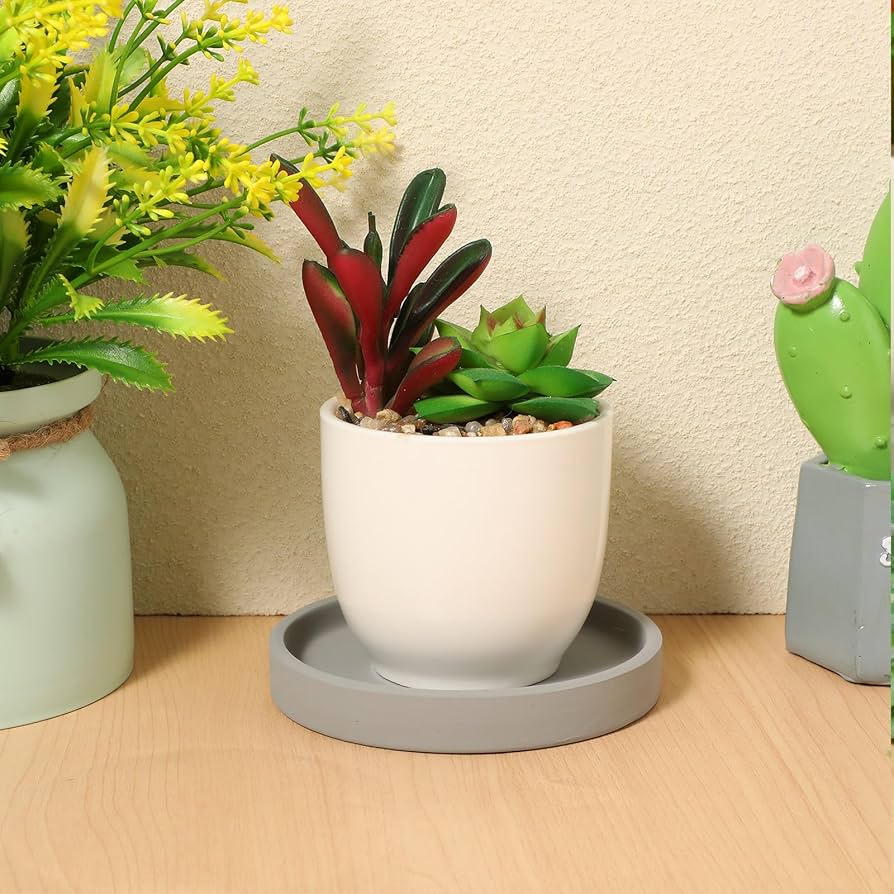 【ゆんな】鉢2個セット 受け皿付き 21LgpETSzML.jpg_BO30,255,255,