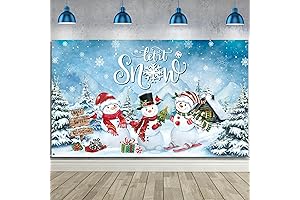 Winter Wonderland Backdrop for Photography