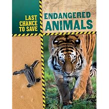 Endangered Animals Last Chance to Save