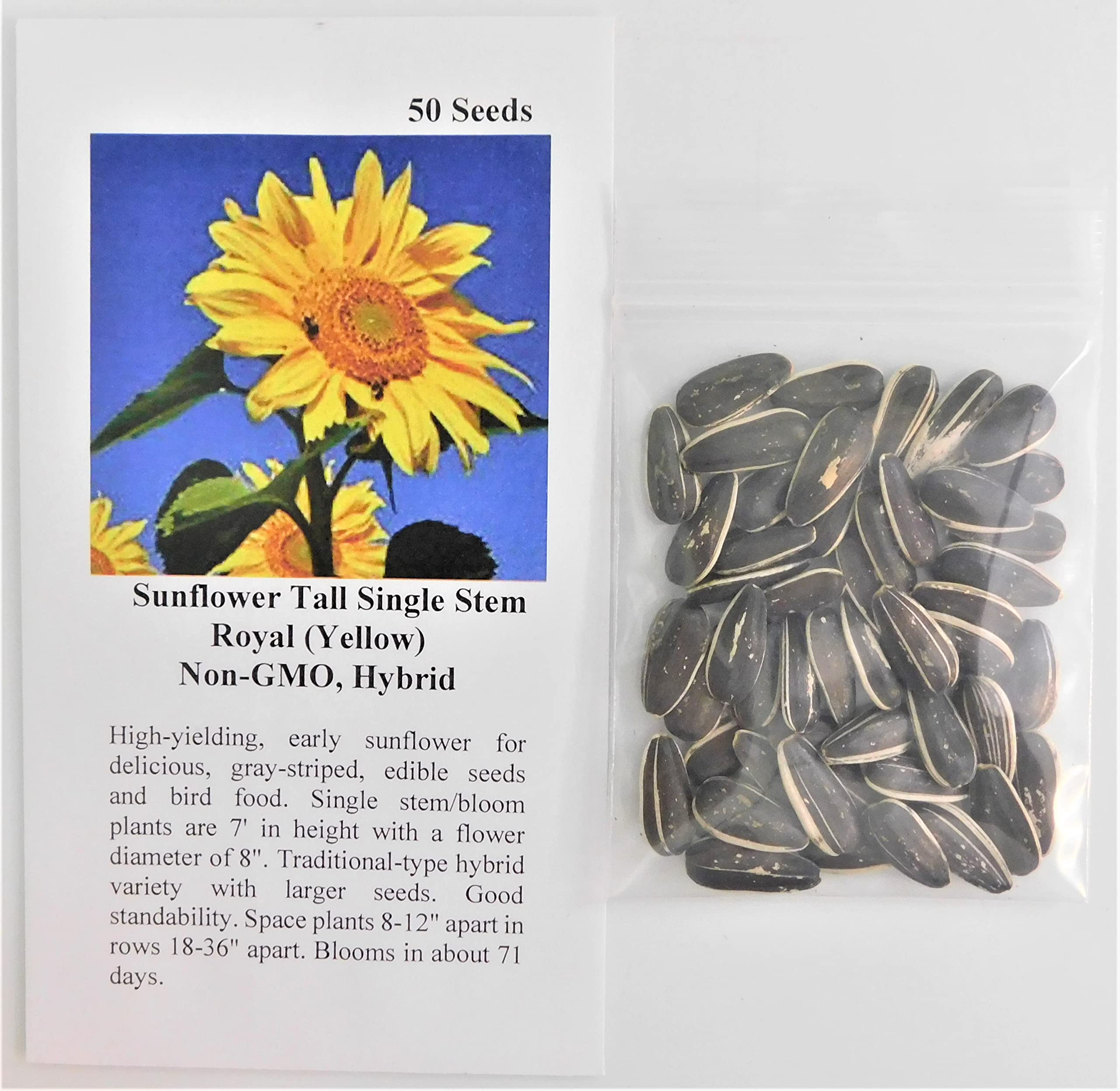 Amazon.com : David's Garden Seeds Sunflower Tall Single Stem