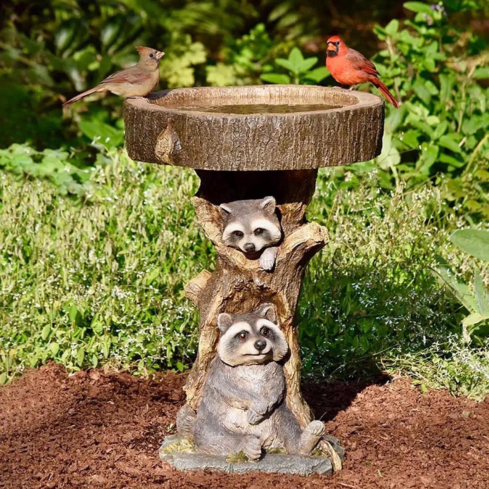 Baoblaze Ciotola da Bagno per Uccelli da Giardino, Statua di Procione Figurine Prato mangiatoia in Resina da Cortile Scultura Animale per ringhiera Portico Che