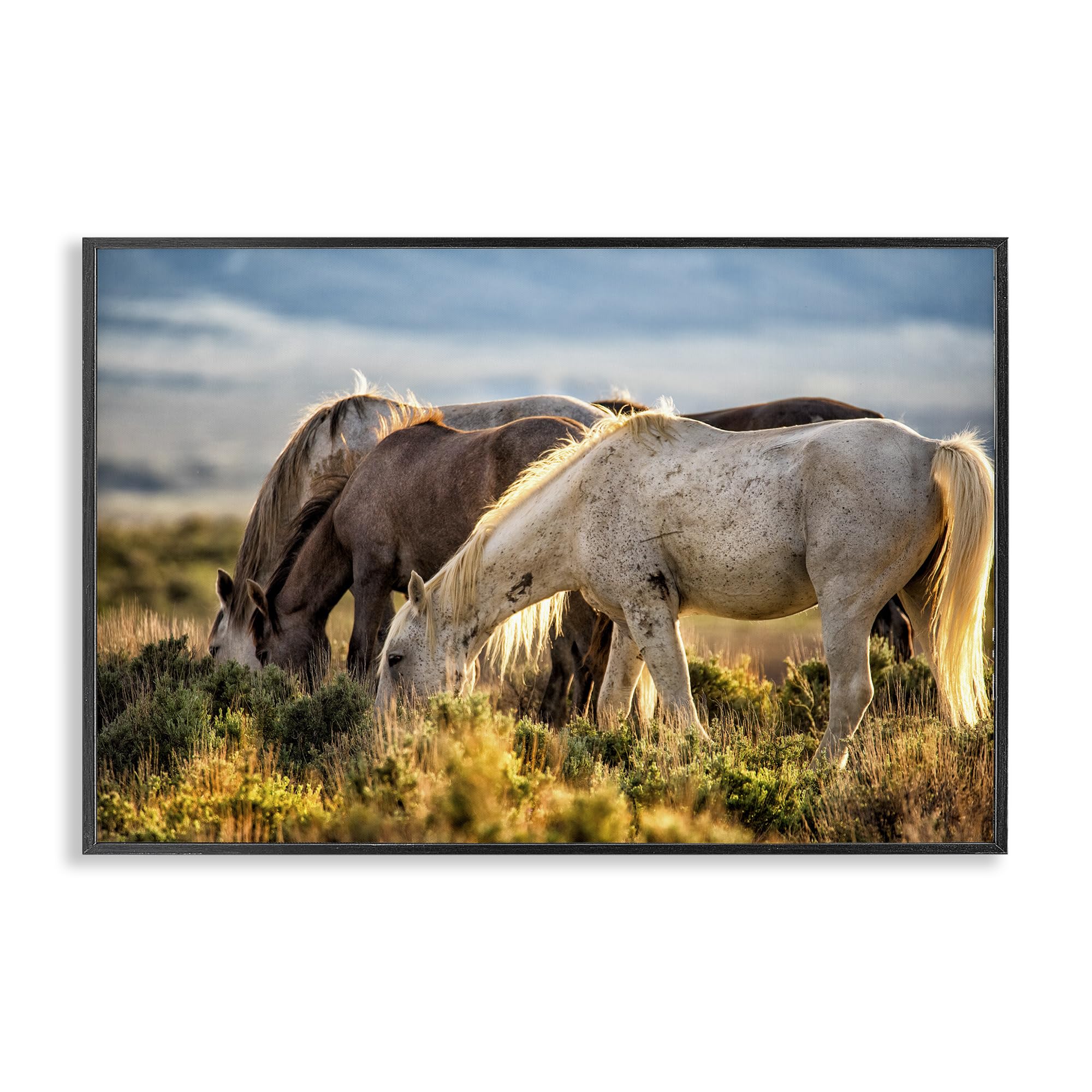 Stupell Industries Midnight Black (Textured) 'Equine Evening Graze'| Framed Giclee Art