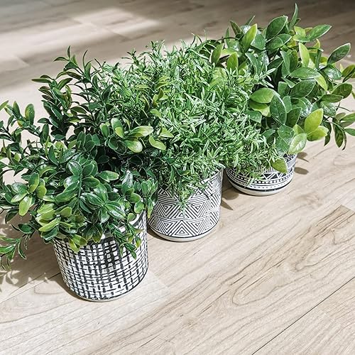 Miniatura 8 de Winlyn Set of 3 Small Potted Plants Artificial Eucalyptus Rosemary Boxwood Plants in Black and White Geometric Pots for Table Centerpiece Kitchen