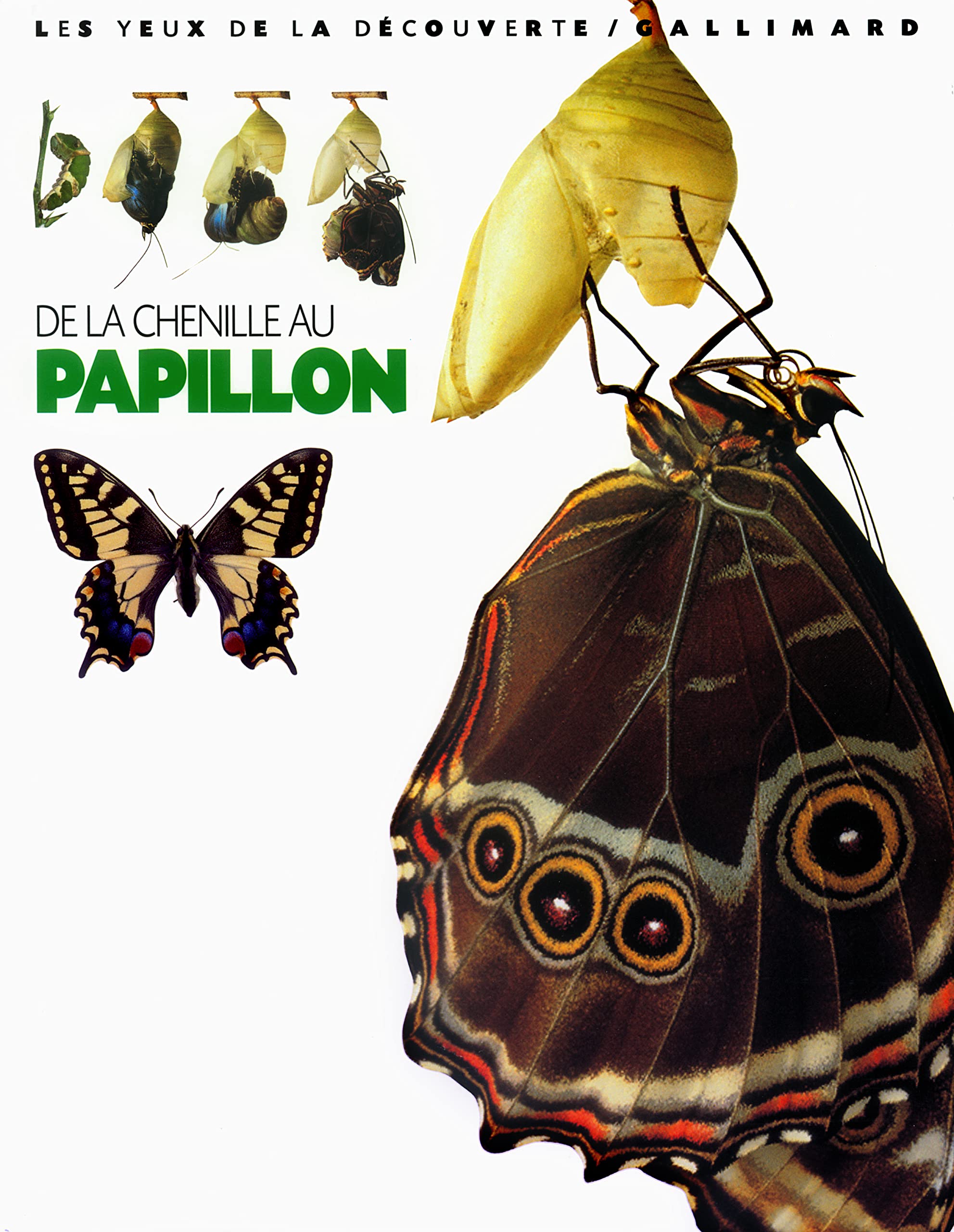 DE LA CHENILLE AU PAPILLON PAUL WHALLEY, PAUL