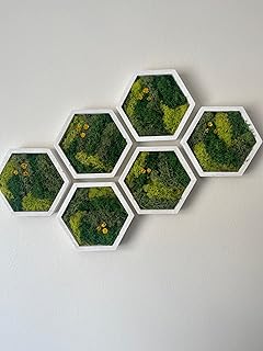 Moss Wall Art | Honeycomb Moss Single to Set of Twelve | White Wood Hexagon | Green with Yellow Preserved Flowers (Set of Seven)