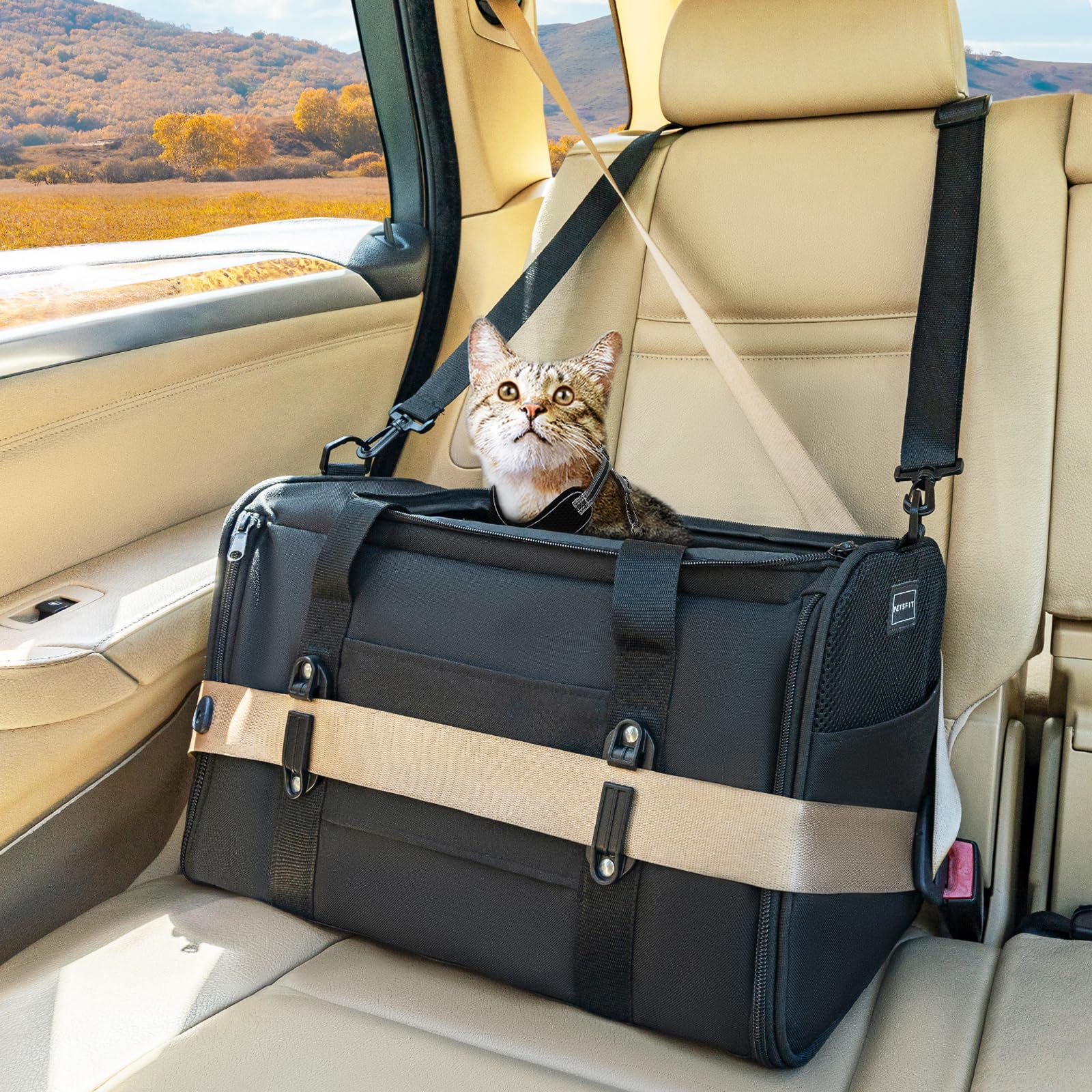 PETSFIT Soft-Sided Cat Carrier with Patented Safety Buckles, Lockable Zippers & Safety Tether,Escape-Resistant Travel Pet Carrier for Car Rides & Vet Visits, Airline Approved Under-Seat, Up to 12 lbs