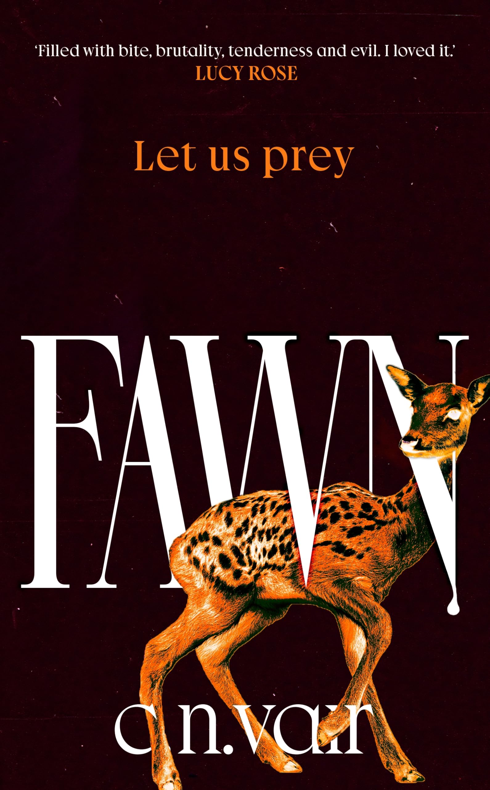 The Fawn: The chilling new novel 'filled with bite, brutality, tenderness and evil' Lucy Rose