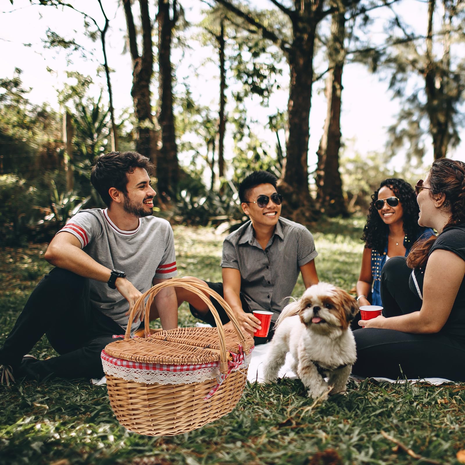 Cesta de Picnic de Mimbre con Tapa y Asas Dobles, Rústica