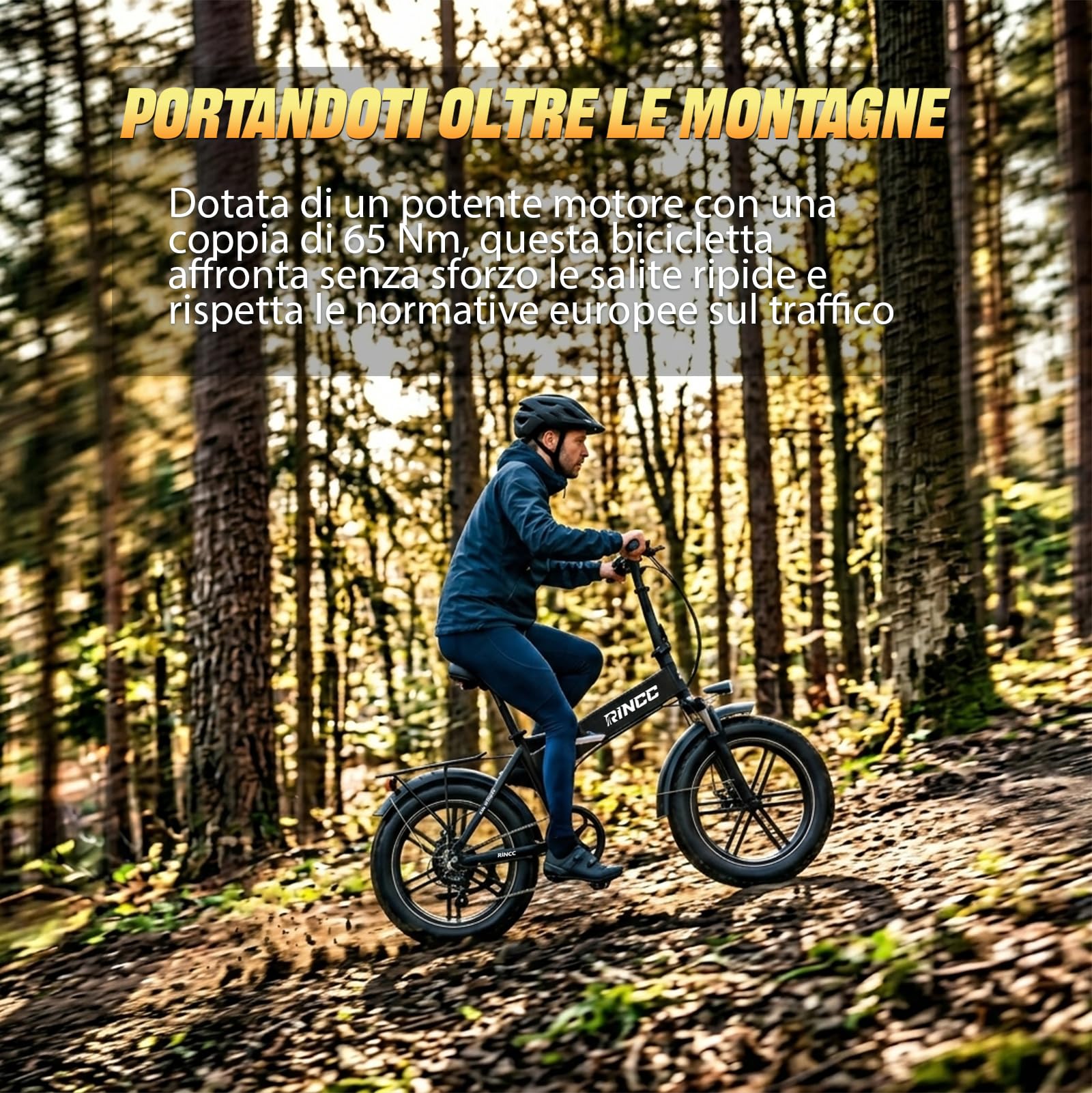RINCC Bici Elettrica Pieghevole, Bicicletta Elettrica da 48V 15Ah Batteria, Autonomia di 80-100 Km,20"×4.0" Fat Bike Elettrica 7 Velocità da per Ogni Terreno,Telaio in lega di alluminio,R200