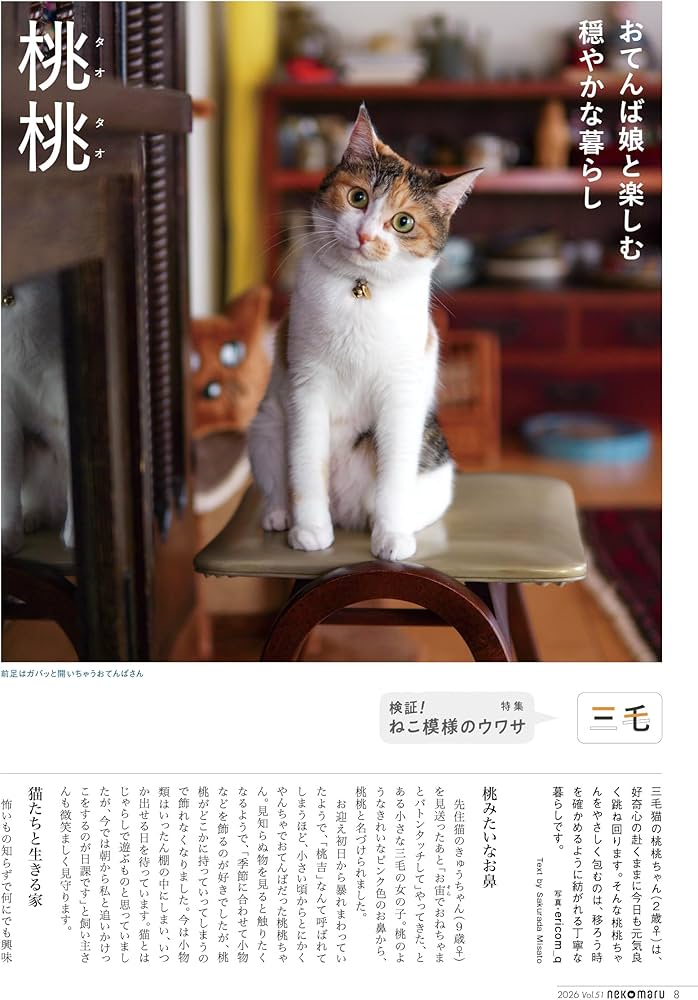 特別付録：2026カレンダー】ネコまる 2026年冬春号 vol.51