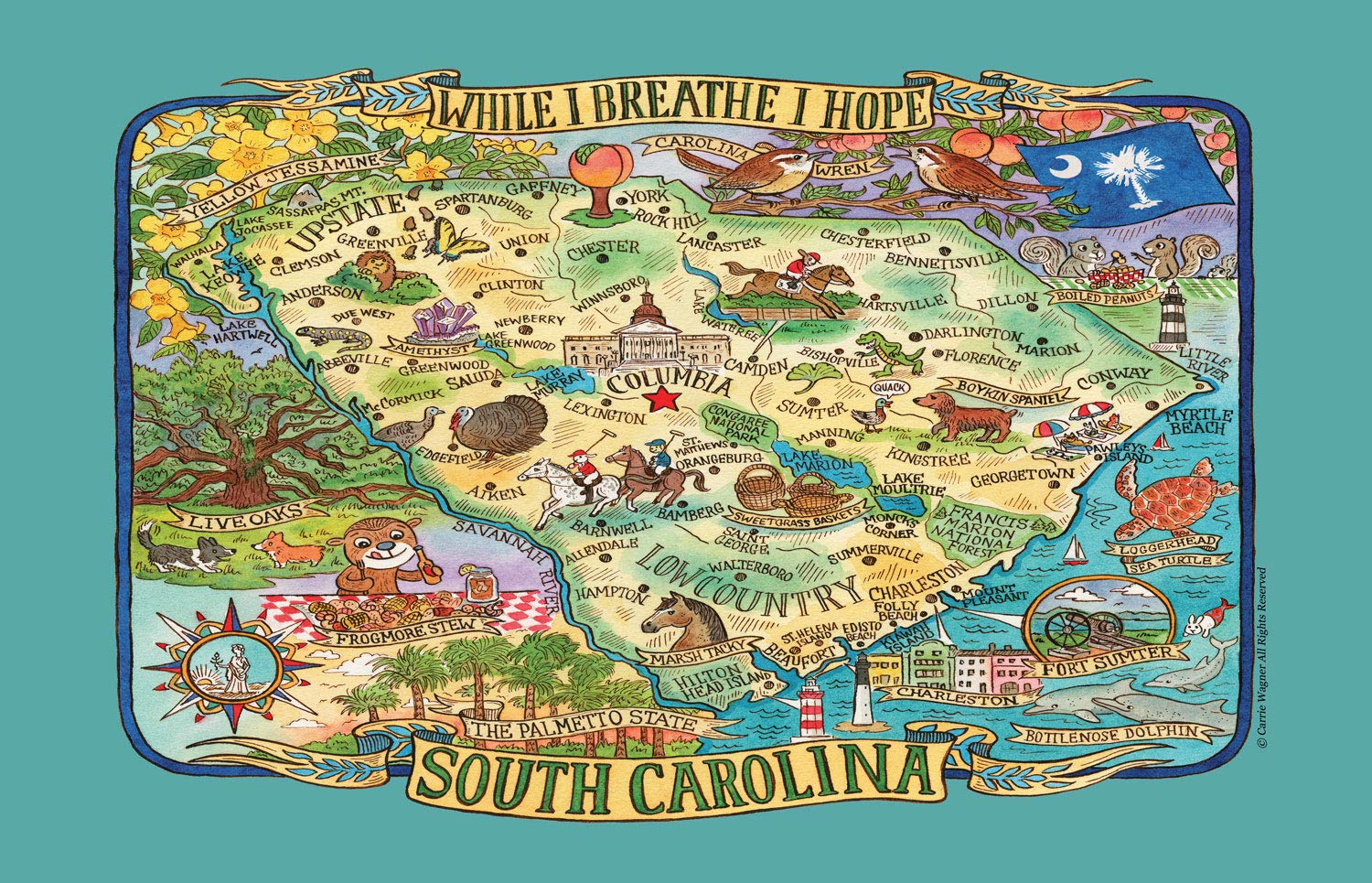 Toalla de cocina Kay Dee de South Carolina, el regalo ideal de algodón para viajeros