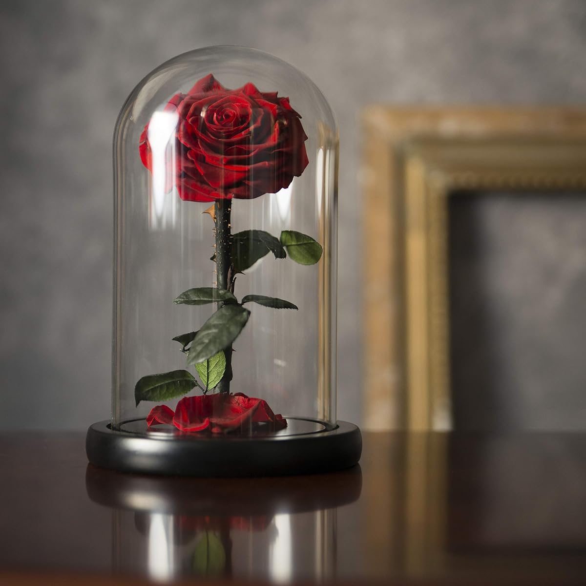 LOVAPPY preserved rose in glass dome