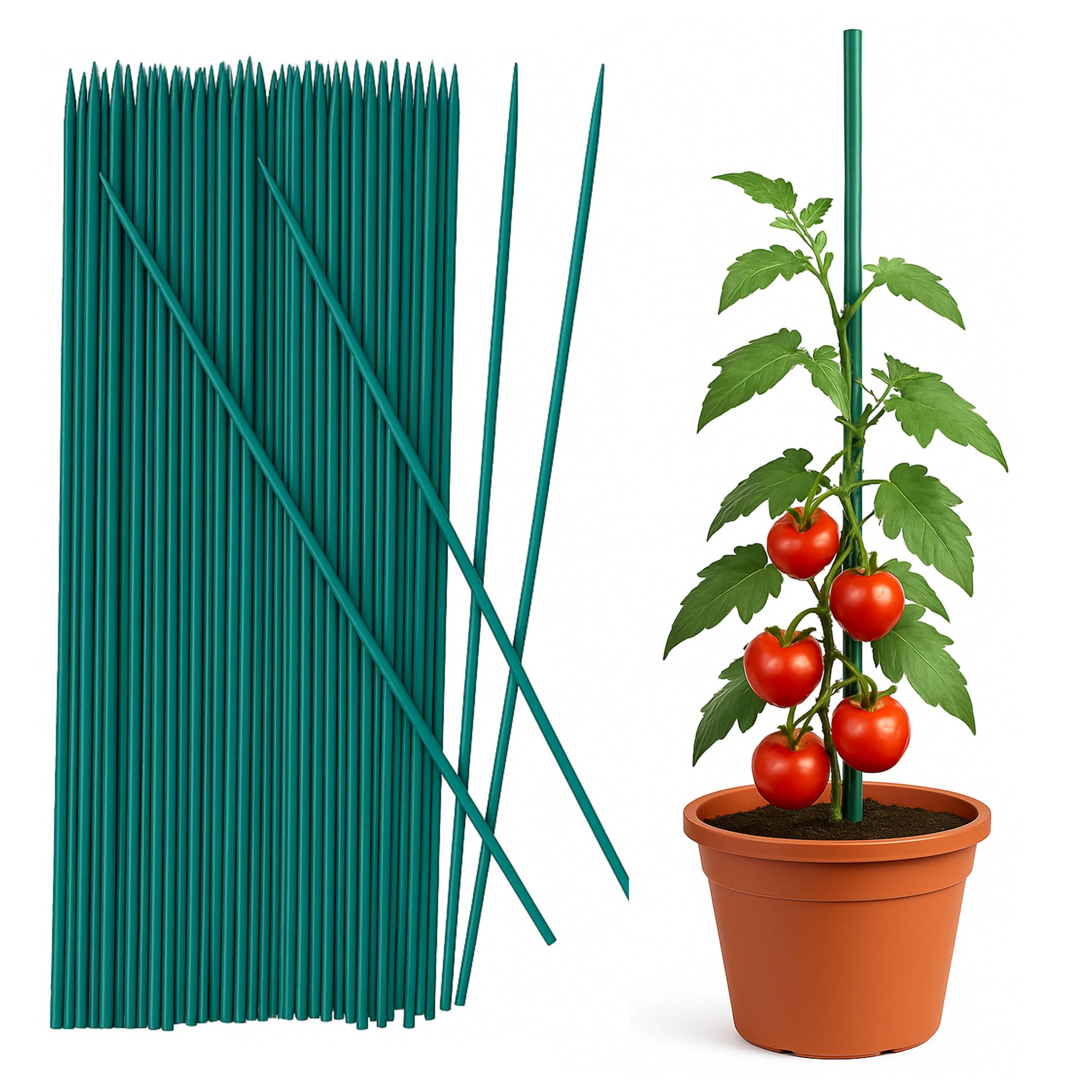 ADEPTNA 50 Pack Green 60cm Bamboo Garden Stakes – Weather-Resistant Plant Support Sticks – Eco-Friendly Green Canes for Flowers, Vegetables, Climbing Plants – Ideal for Gardening & Tripods