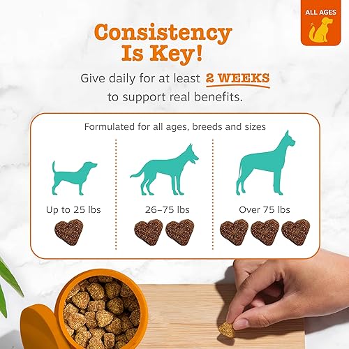 Vista 4 de Tratamientos de calmante para perros – Alivio de la ansiedad de la composición con Suntheanine – Kelp orgánico y raíz valeriana + L triptófano