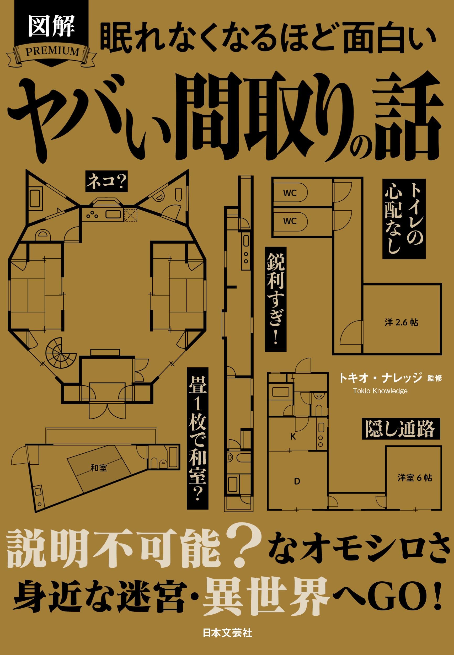 Amazon.co.jp: 眠れなくなるほど面白い 図解 ヤバい間取りの話: 説明不
