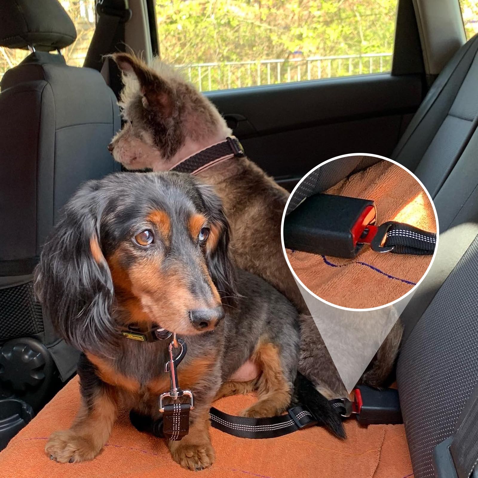 Gentpovth Ceinture et Harnais de Sécurité Universel pour Chien en Voiture - 2 Pièces, Indéchirable, Nylon Noir, Longueur Réglable - pour Tous Les Chiens et Chats