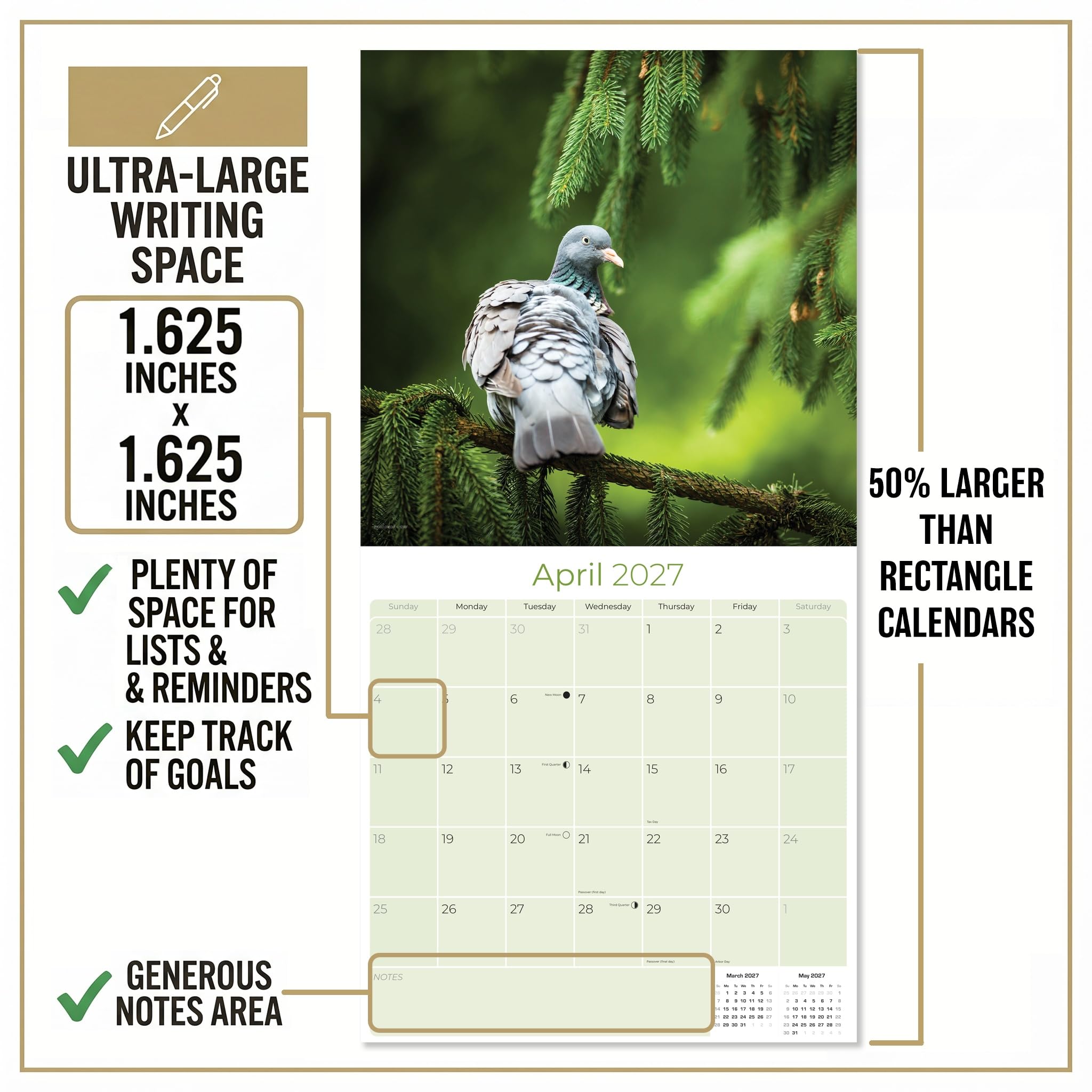 2027 Tauben – Vogelbeobachter Monats-Wandkalender, 16 Monate, 30,5 x 61 cm, dickes Papier, kein Ausbluten, großes Raster, begabbarer Tierkalender für Lehrer, Zuhause, Büro, hergestellt in den USA