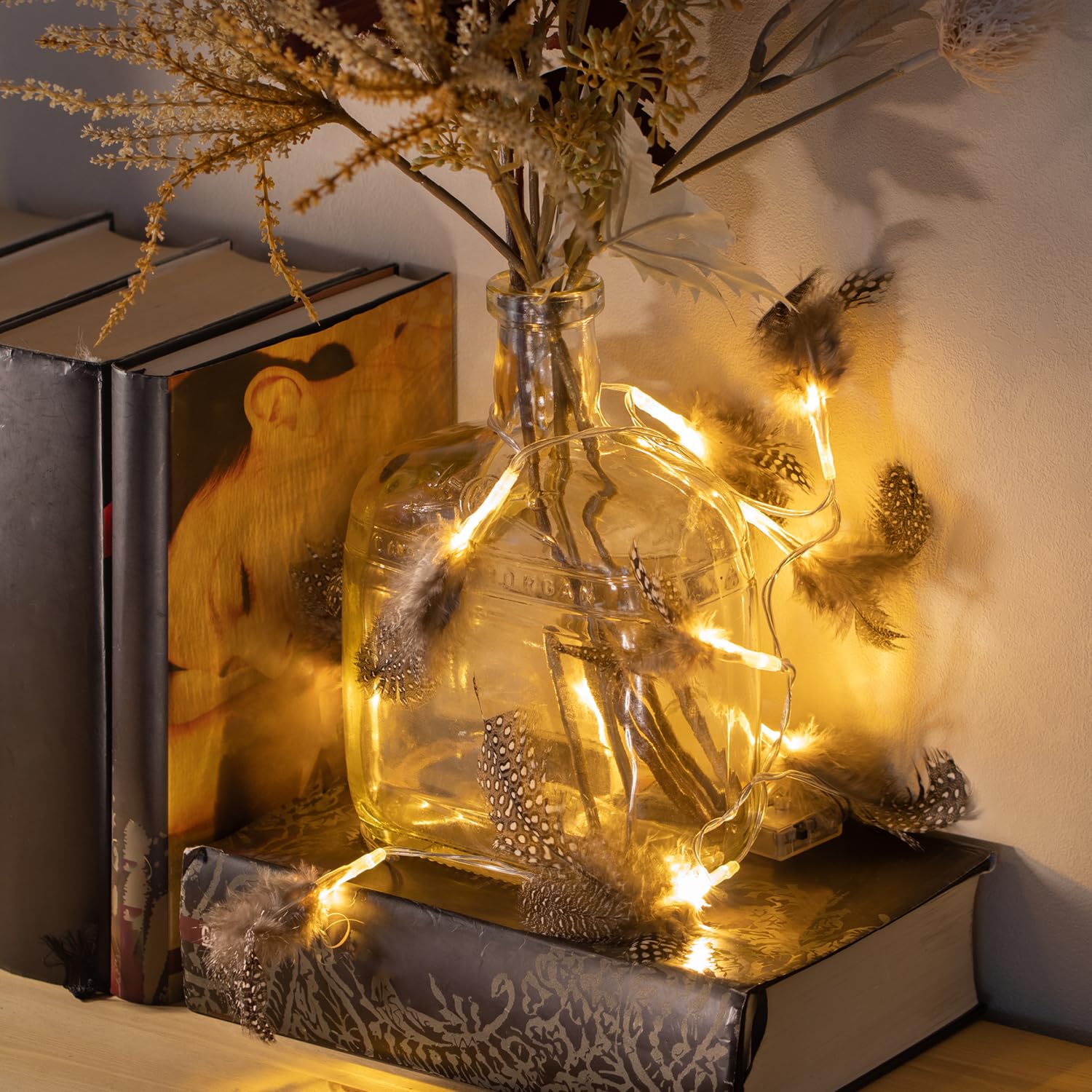 com-four® 2X LED Fairy Lights with Feathers, Battery Operated Fairy Lights