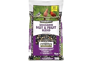 Kaytee Fruit & Nut Wild Bird Food: Savor the Birdfeeder Serenade