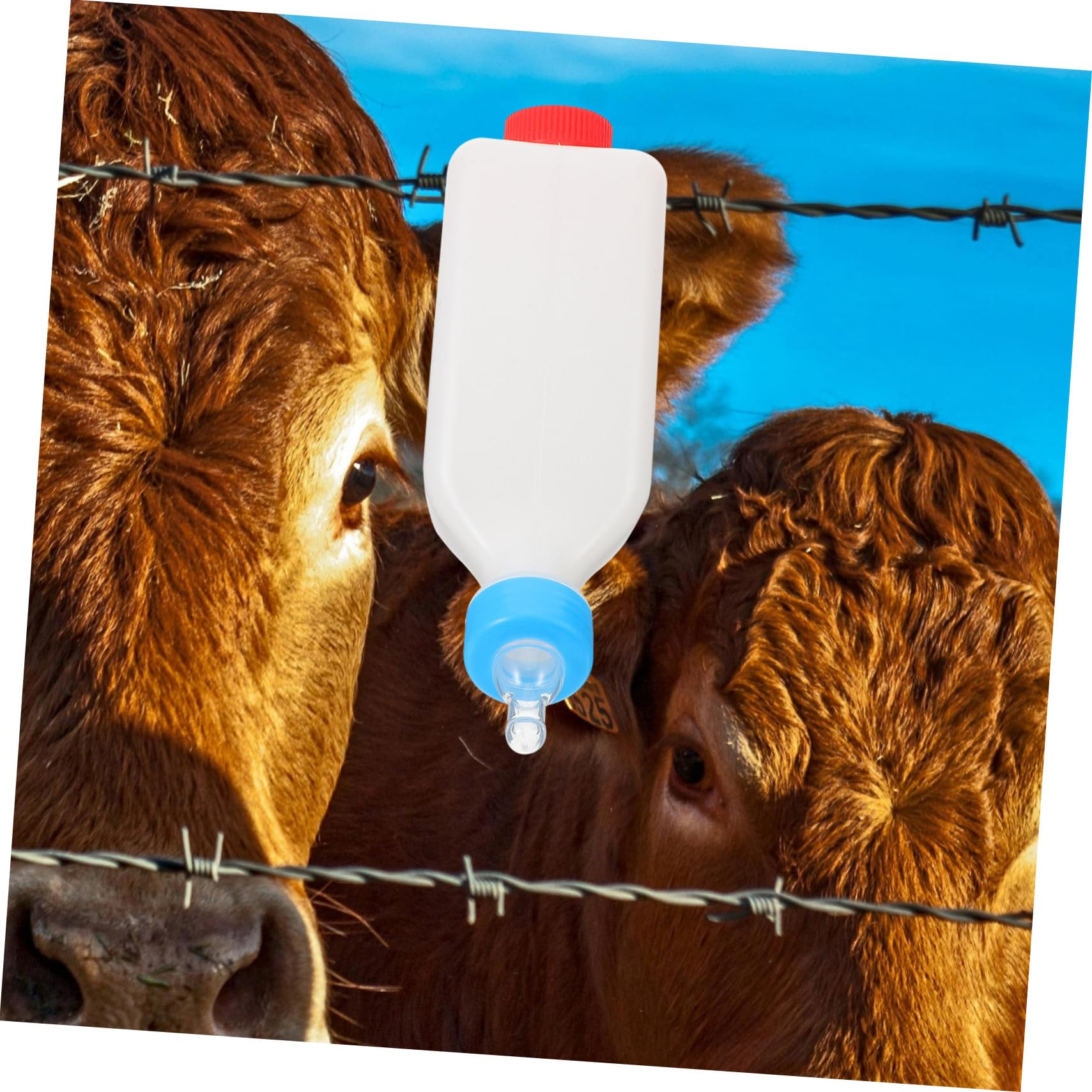 BESPORTBLE 5 Piezas Botella De Pet Cerdito Pequeña Botella De Leche De Ganado Biberón Para Terneros Biberón Para Ovejas Contenedor De Alimentación De Mascotas El Plastico