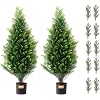 Product Photo 10