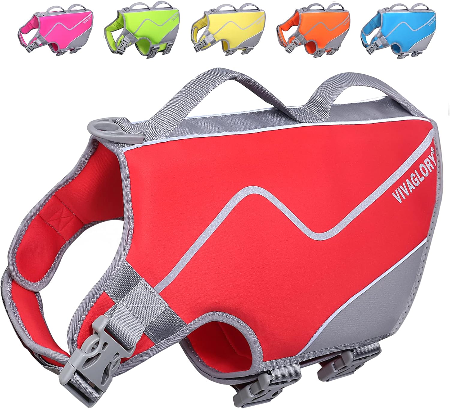 Chew-Proof Dog Leash + Dog Life Jacket