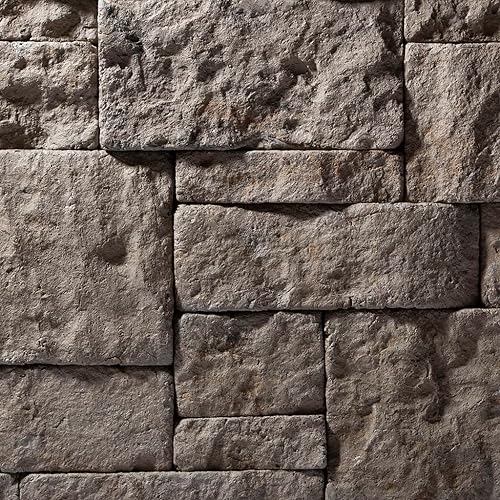 Evolve Stone Georgetown Run Fire - Chapa de piedra plana (14.25 pies cuadrados por caja) (álamo matutino)