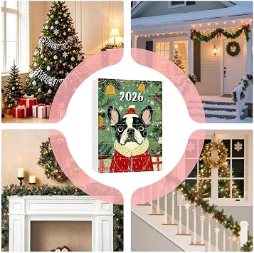 Christmas Count Down Calendar Set 24-Day 2D Flat Winter Keepsakes