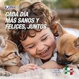 Ver la foto 5
