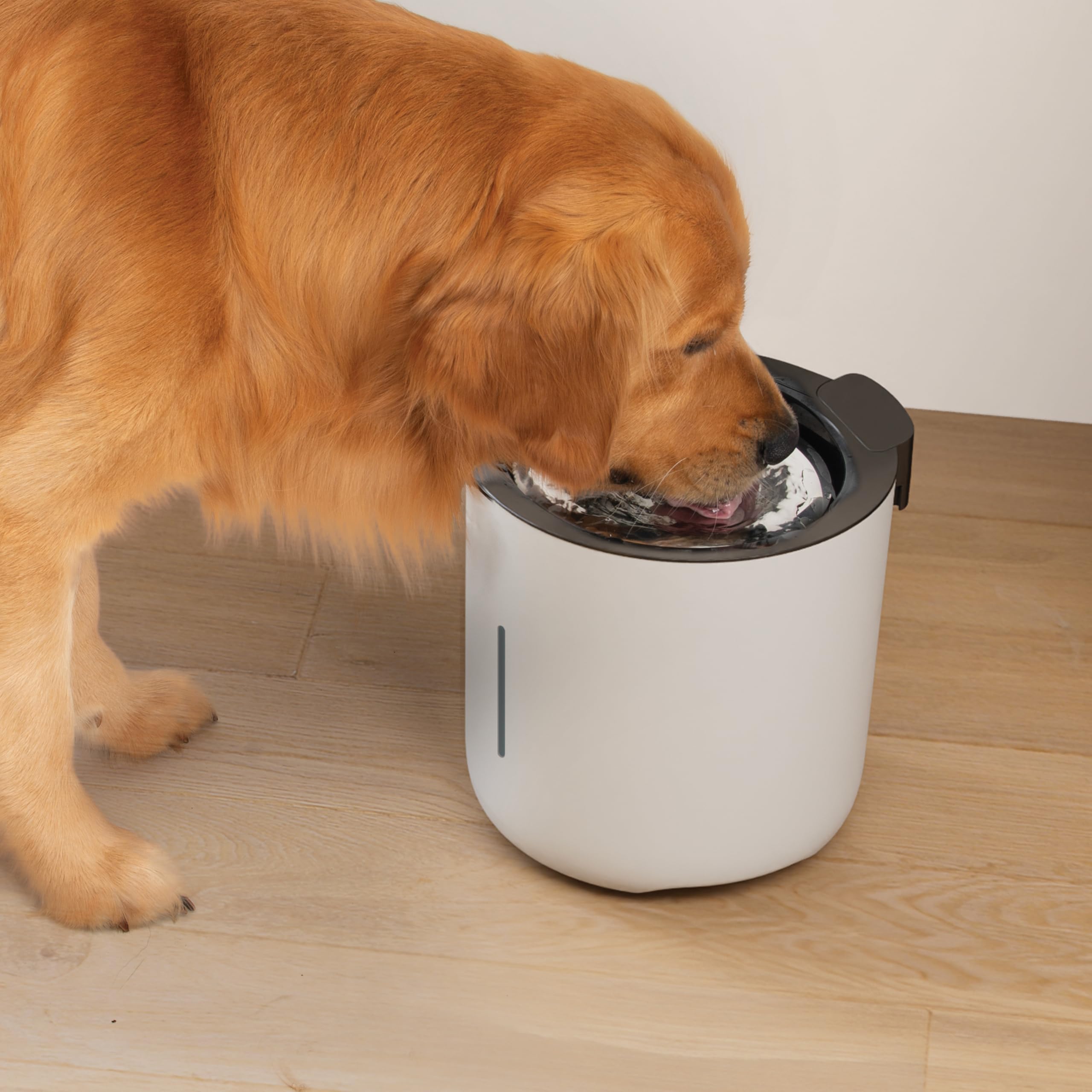 Zeus Oasis Trinkbrunnen für Hunde, 6 Liter Wasserspender mit 3-fach Filterung, fließendes & gefiltertes Trinkwasser, lichtundurchlässiger Wassertank mit LED‑Füllstandsanzeige, indoor Hundetrinkbrunnen