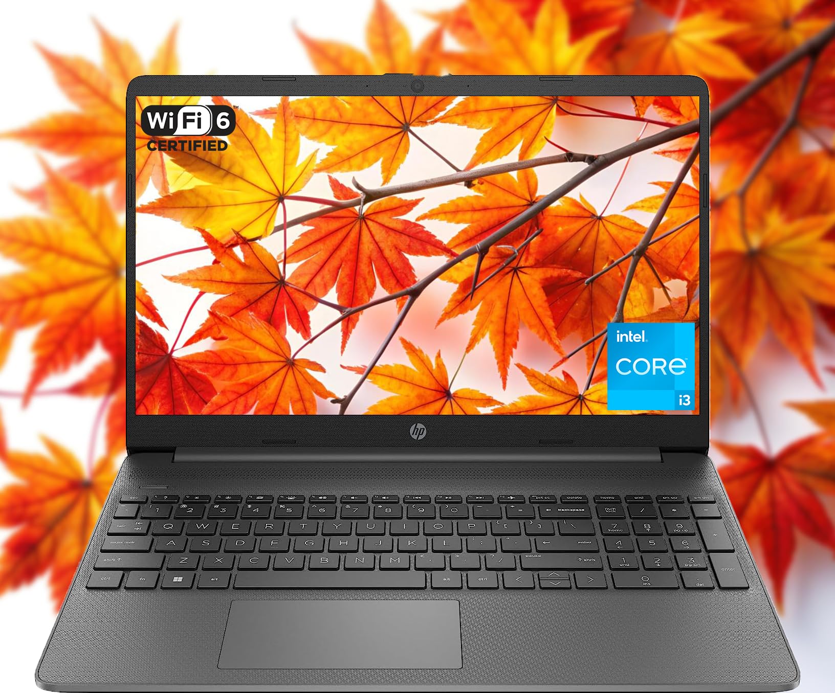 Amazon.com: HP 15.6