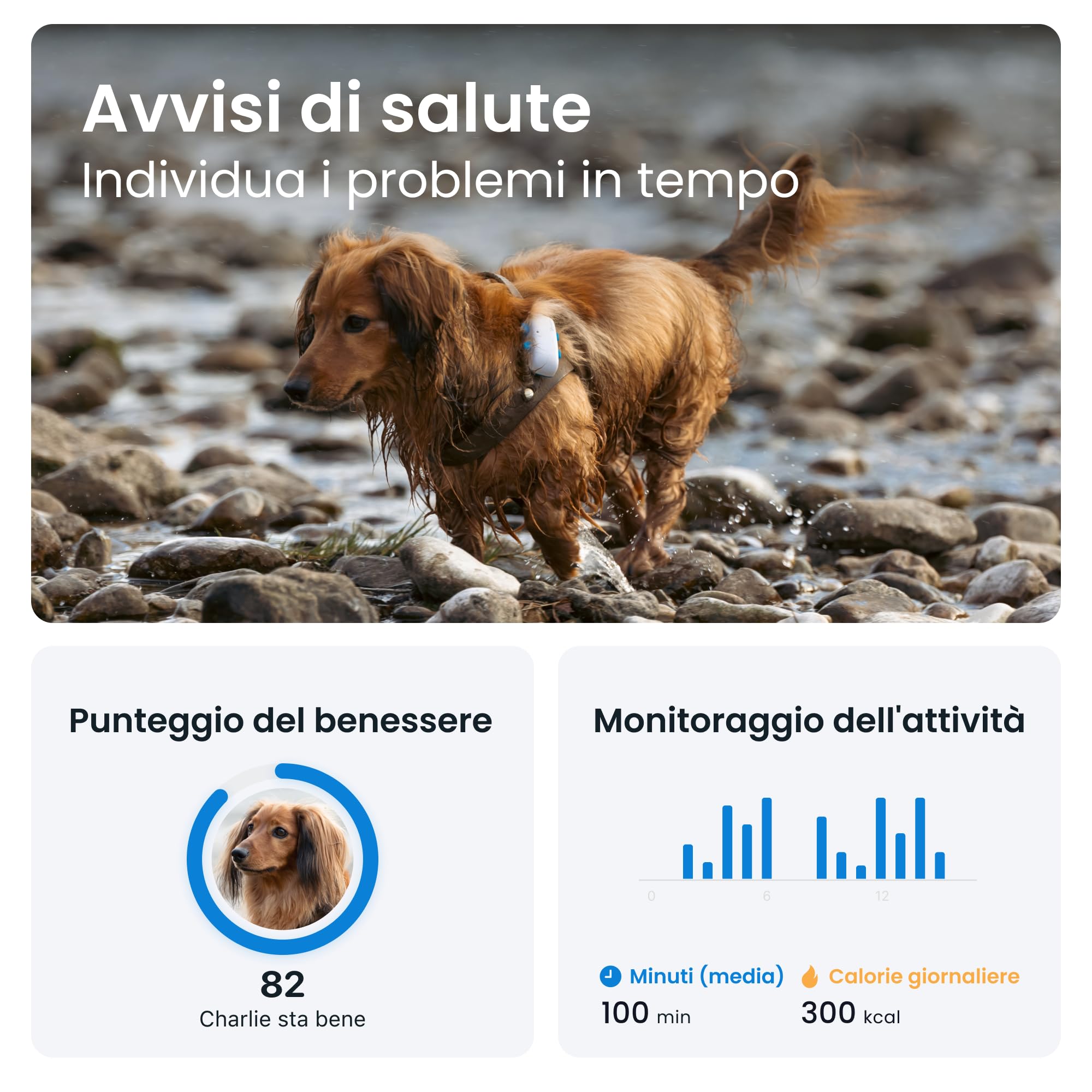 Tractive - GPS per cani, Localizzazione in tempo reale in tutto il mondo, Notifiche antifuga, Monitoraggio dell'attività con avvisi di salute