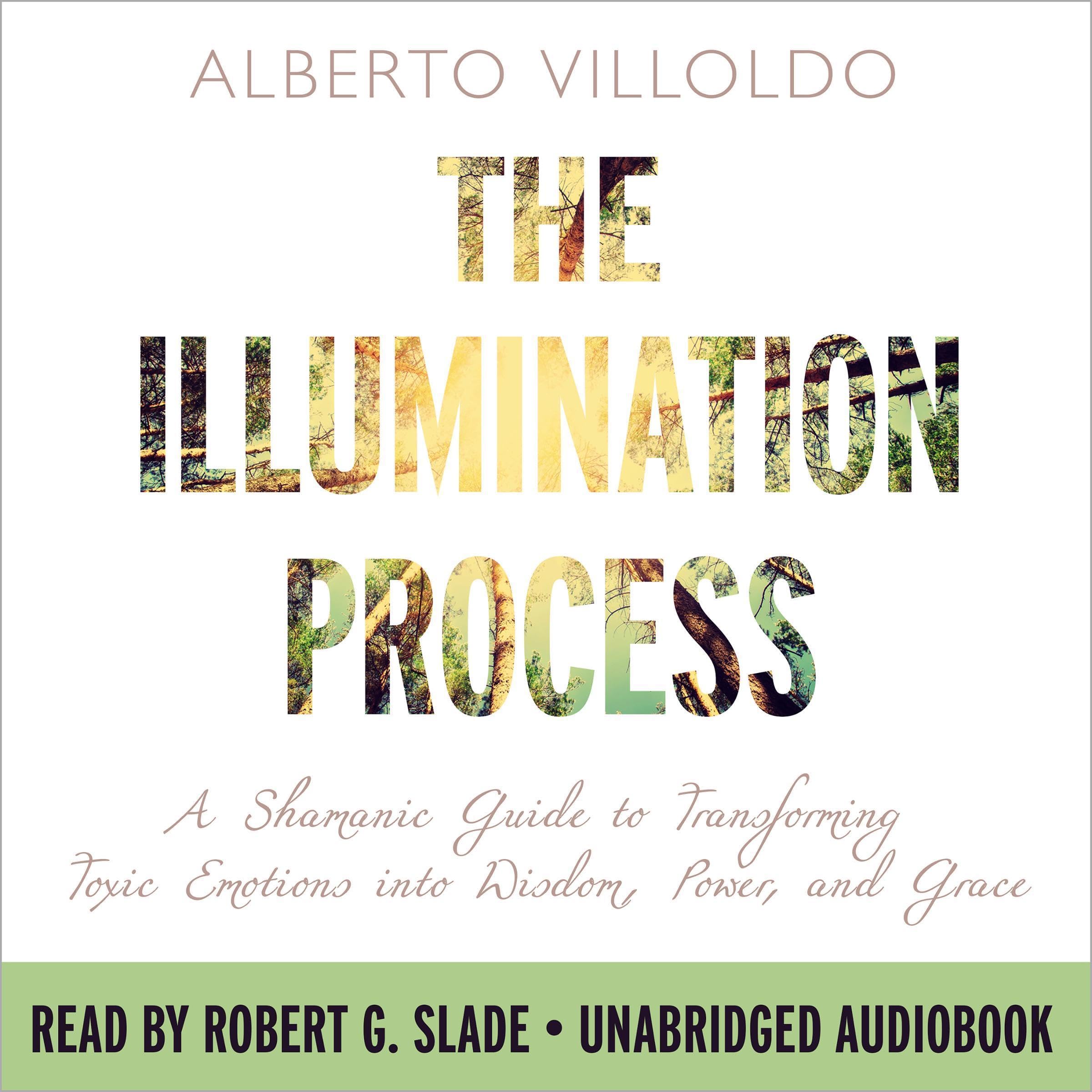 Cover art for The Illumination Process