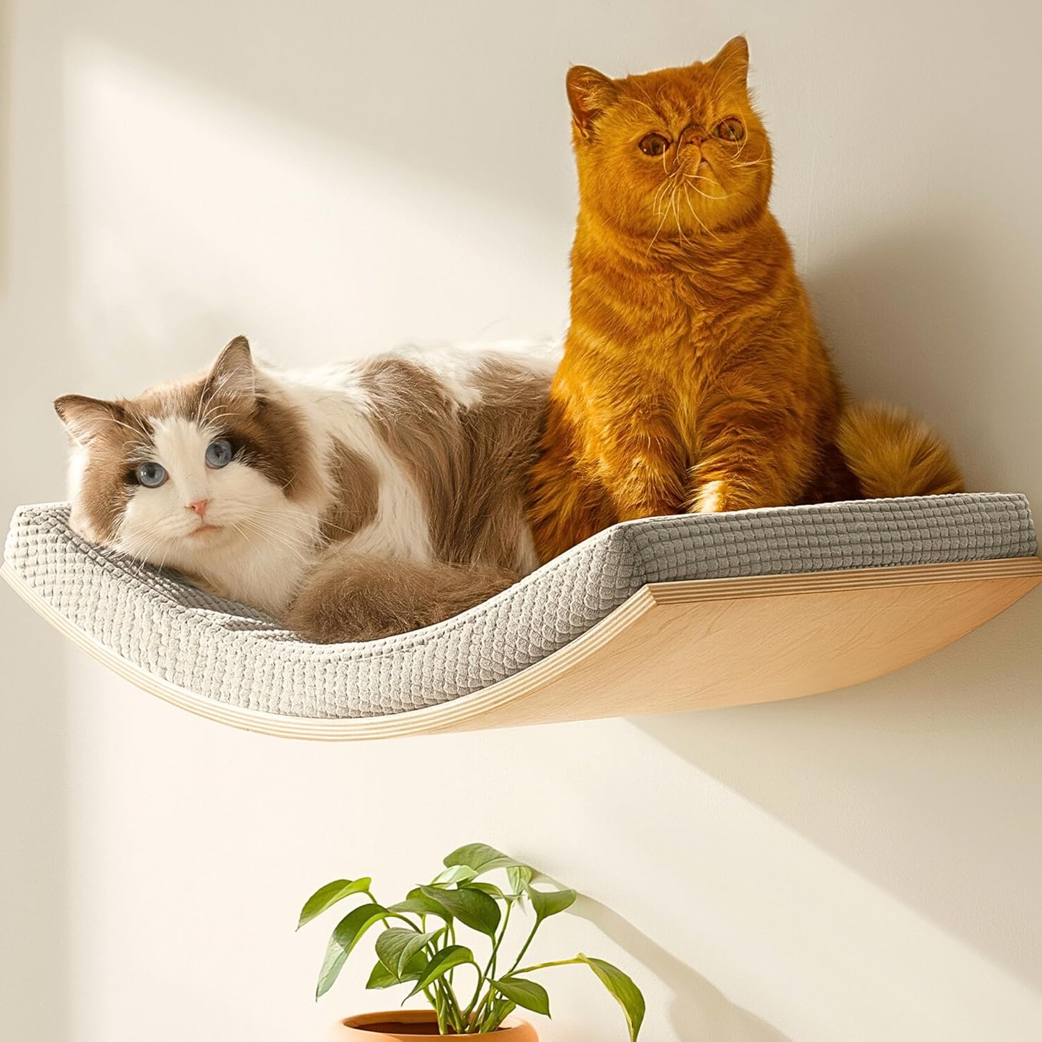 Callico Haven Extra Large C-Shape Cat Wall Shelf