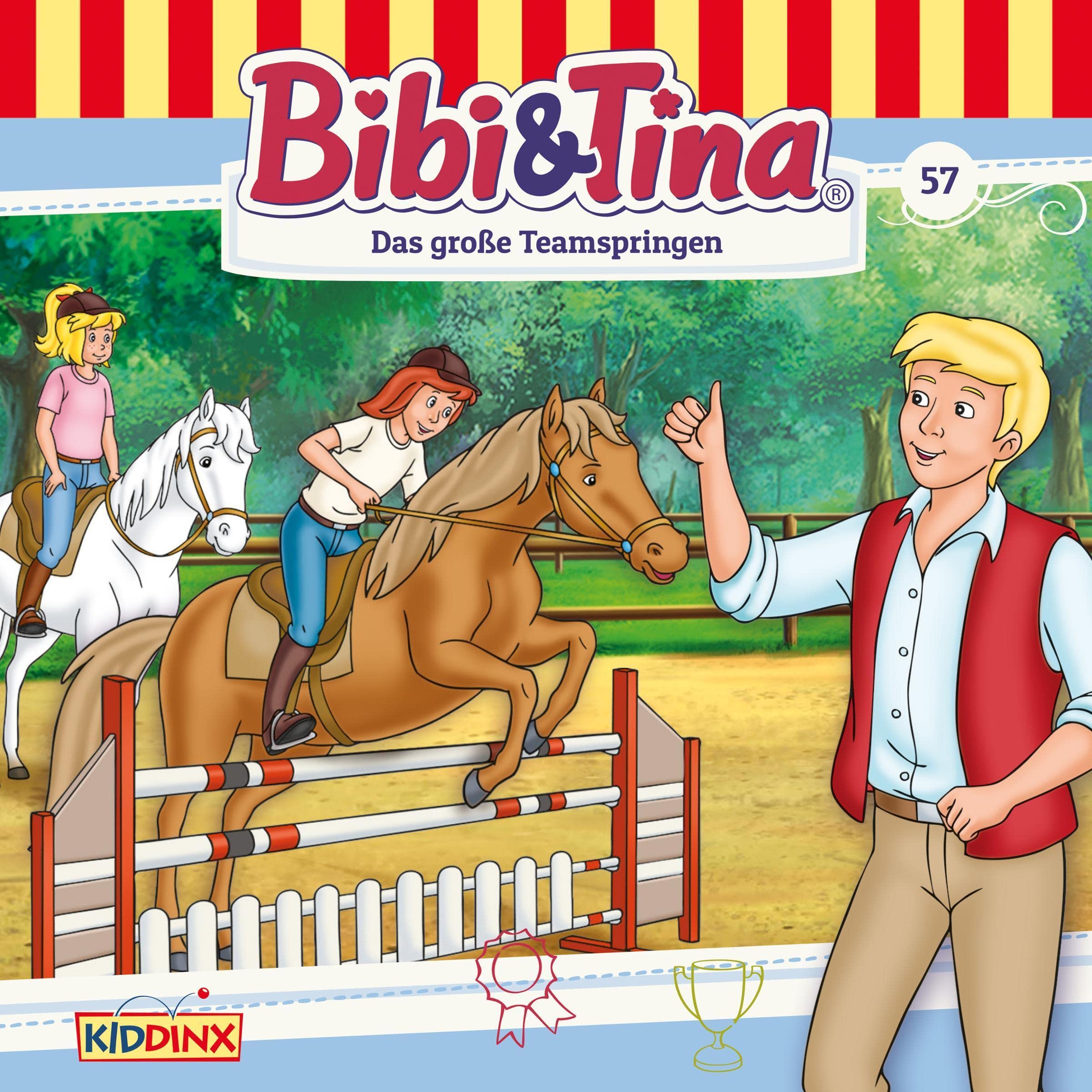 Cover art for Das große Teamspringen