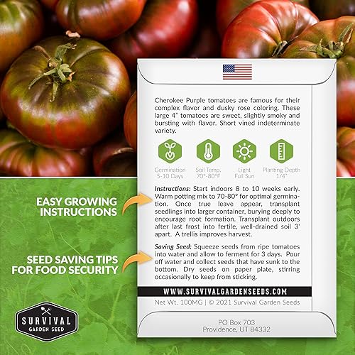 Miniatura 2 de Survival Garden Seeds - Semilla de tomate púrpura Cherokee para plantar - 3 paquetes con instrucciones para plantar y cultivar grandes y deliciosos