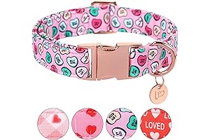 Heart Dog Collar for Valentine's Day