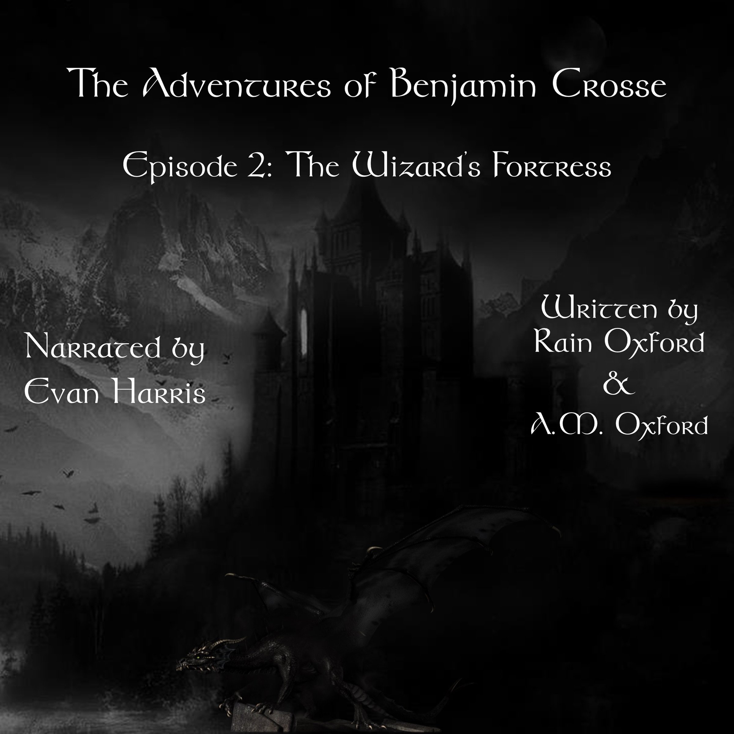 Cover art for The Wizard's Fortress