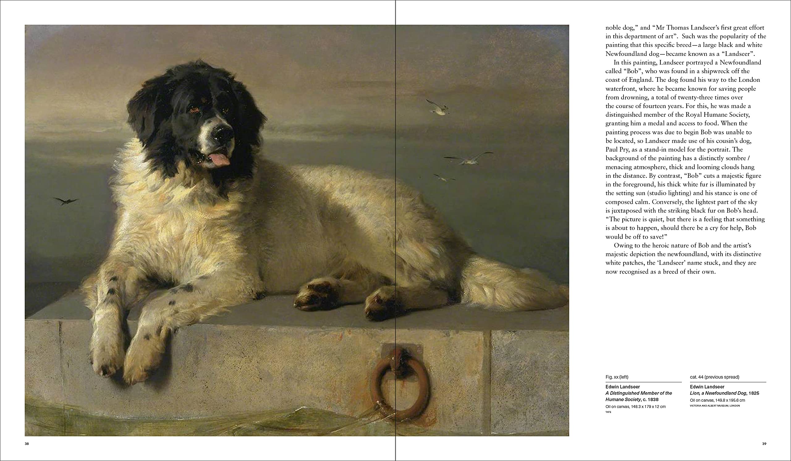 Faithful and Fearless: Portraits of Dogs