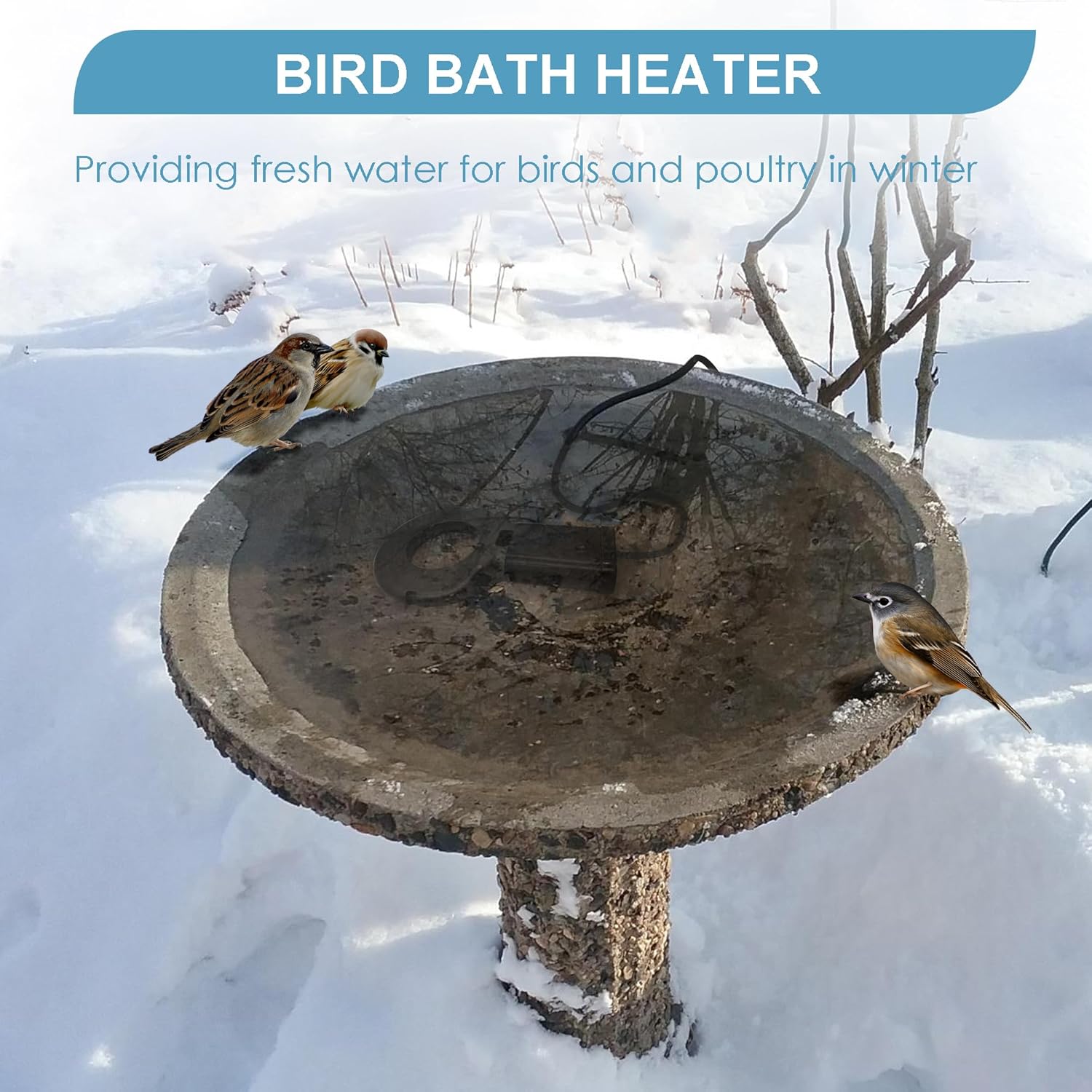 150 Watt Utility De-Icer Submergible Cast Aluminum Chicken Water Heater for Winter Bird Bath Heater (1, Black)