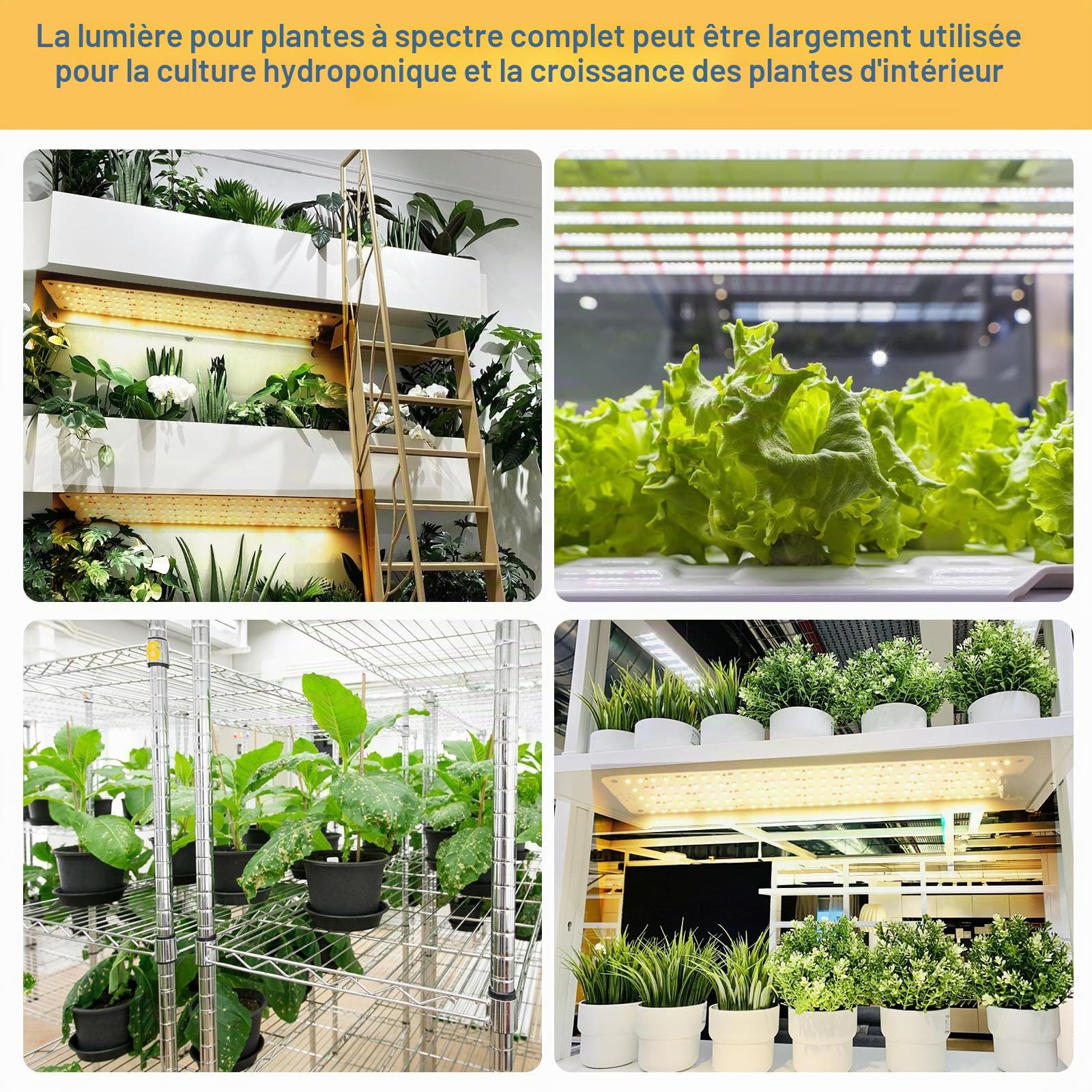 Lampe de Croissance LED,4x135 LEDs Lampe Horticole,Lampe Plante Interieur,Lampe de Plante Spectre Complet,Lampe de Culture avec Minuterie,3 Modes,10 Luminosité,pour Plantes D'intérieur (Blanc)